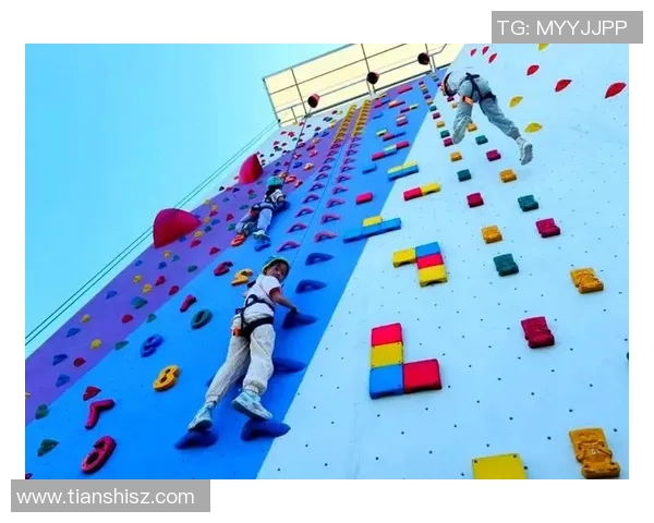 南京攀岩队的意识探讨与发展：攀岩运动在城市中的新风尚与挑战