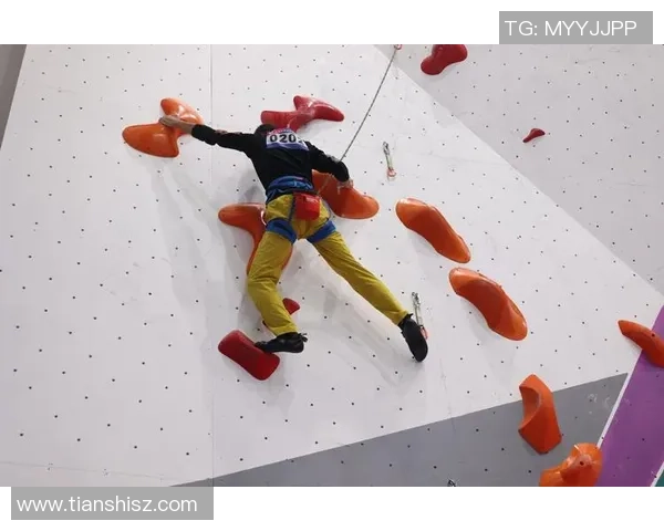 南京攀岩队在攀岩比赛中创下新高经验排名引发广泛关注与赞誉