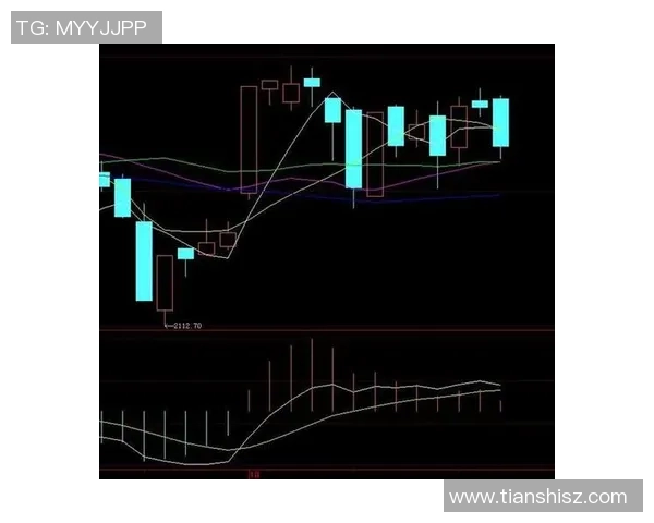 南京网球队防守策略深度解析：从技术到心理的全方位剖析