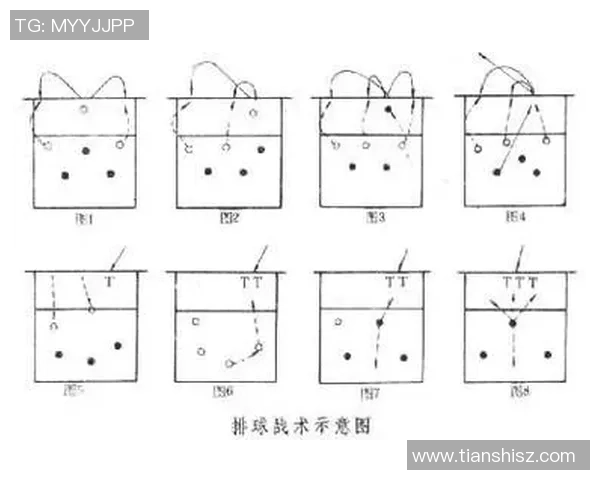 广州排球队进攻体系解析与战术创新探讨